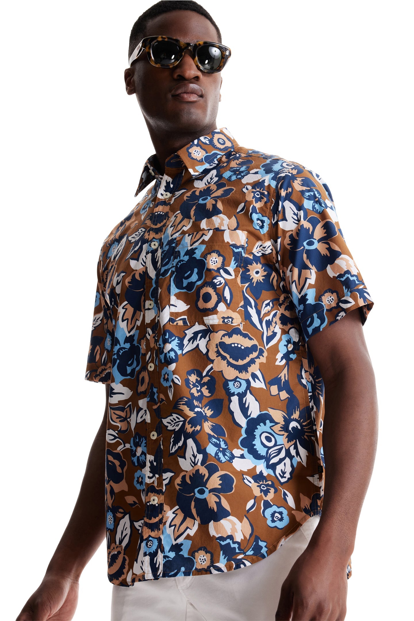 Bronze Aloha Pop Print